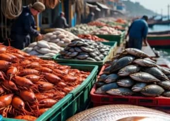 Pakistan Fisheries Exports to China Surge Over $149M