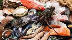 Pakistan’s seafood exports to China surge by 24pc in 2025 