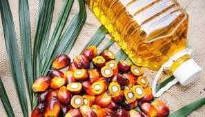 Rethinking Pakistan’s Palm Oil Dependency